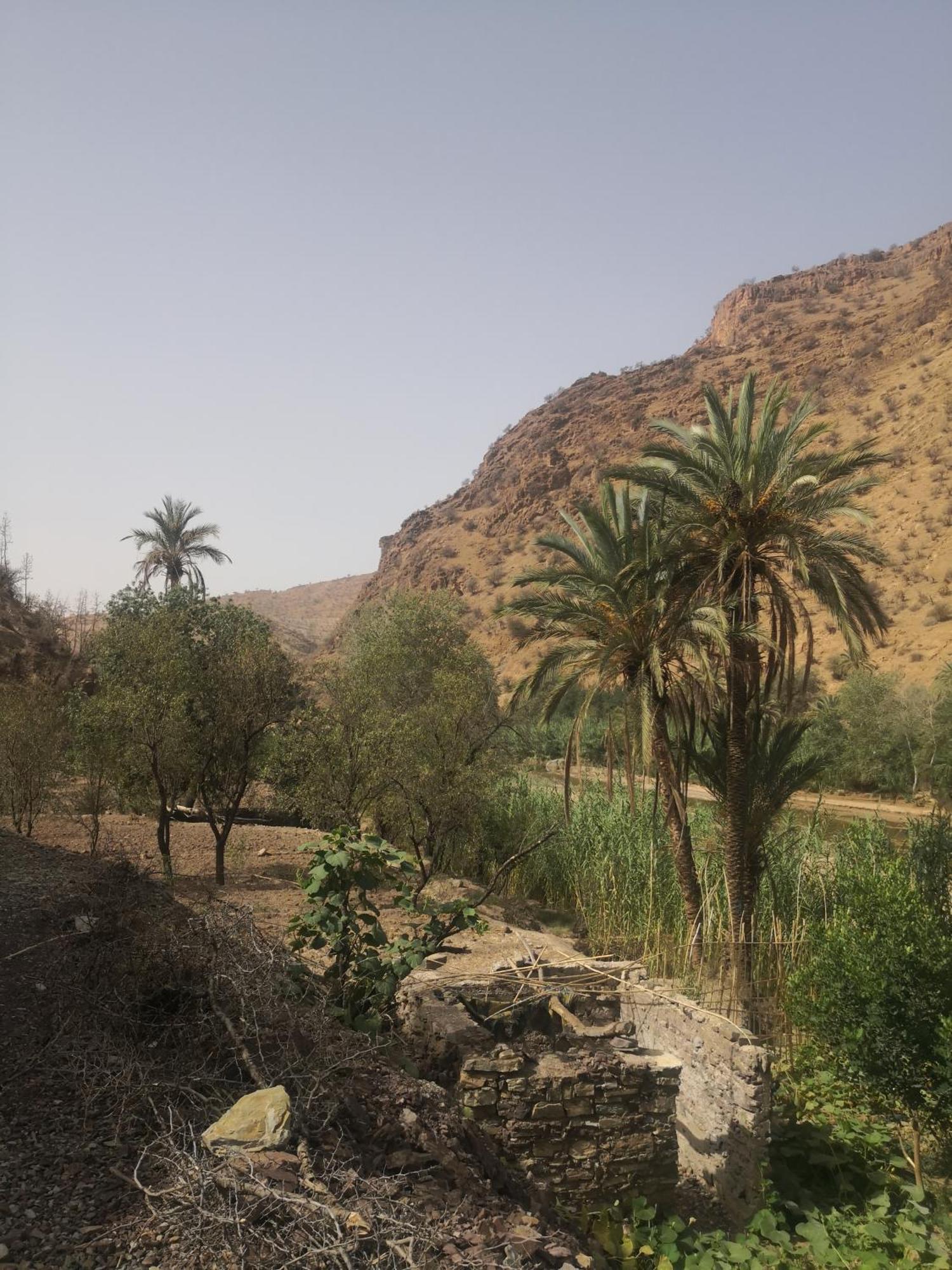 Auberge Kasbah Amoun Taliouine Bagian luar foto